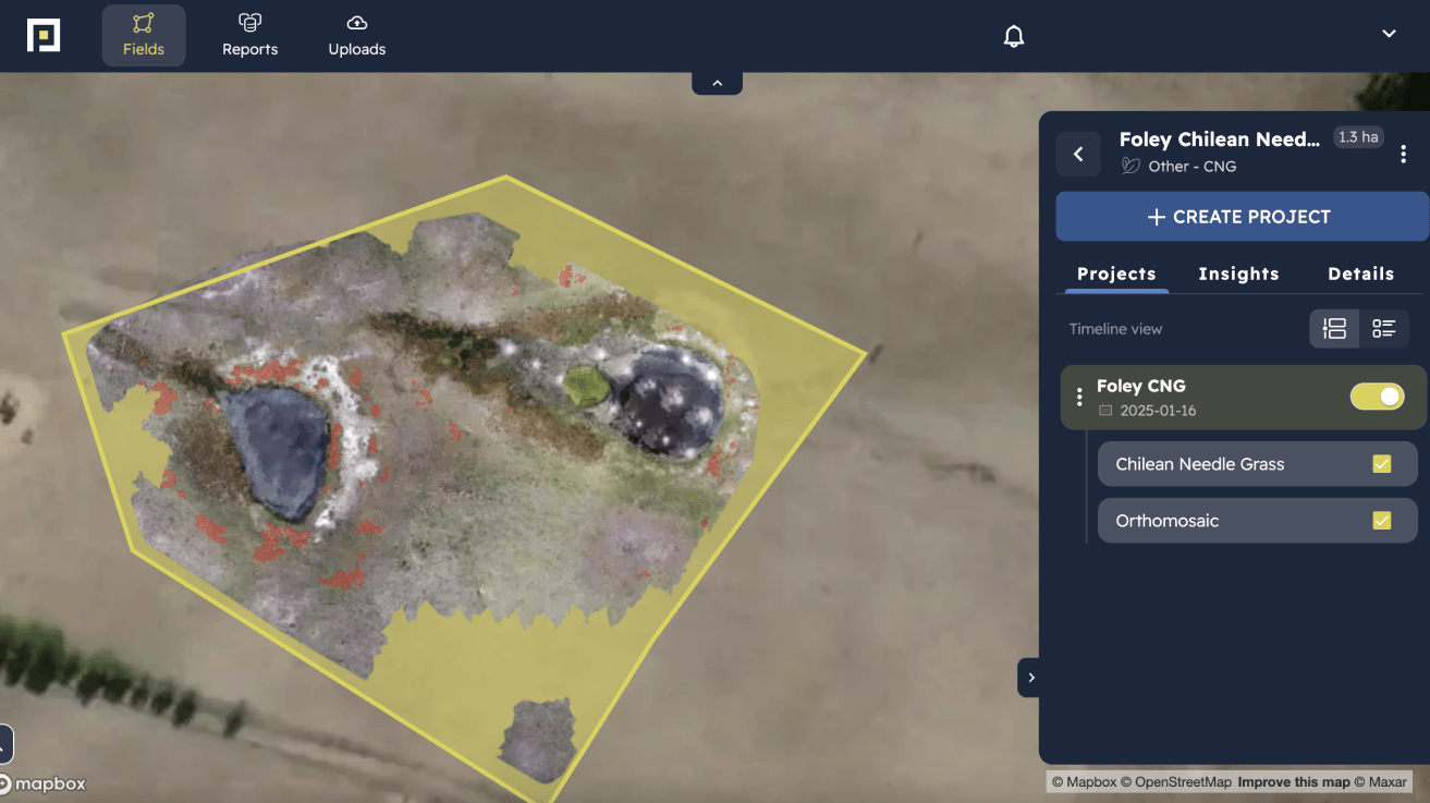 Field imagery used for invasive grass detection