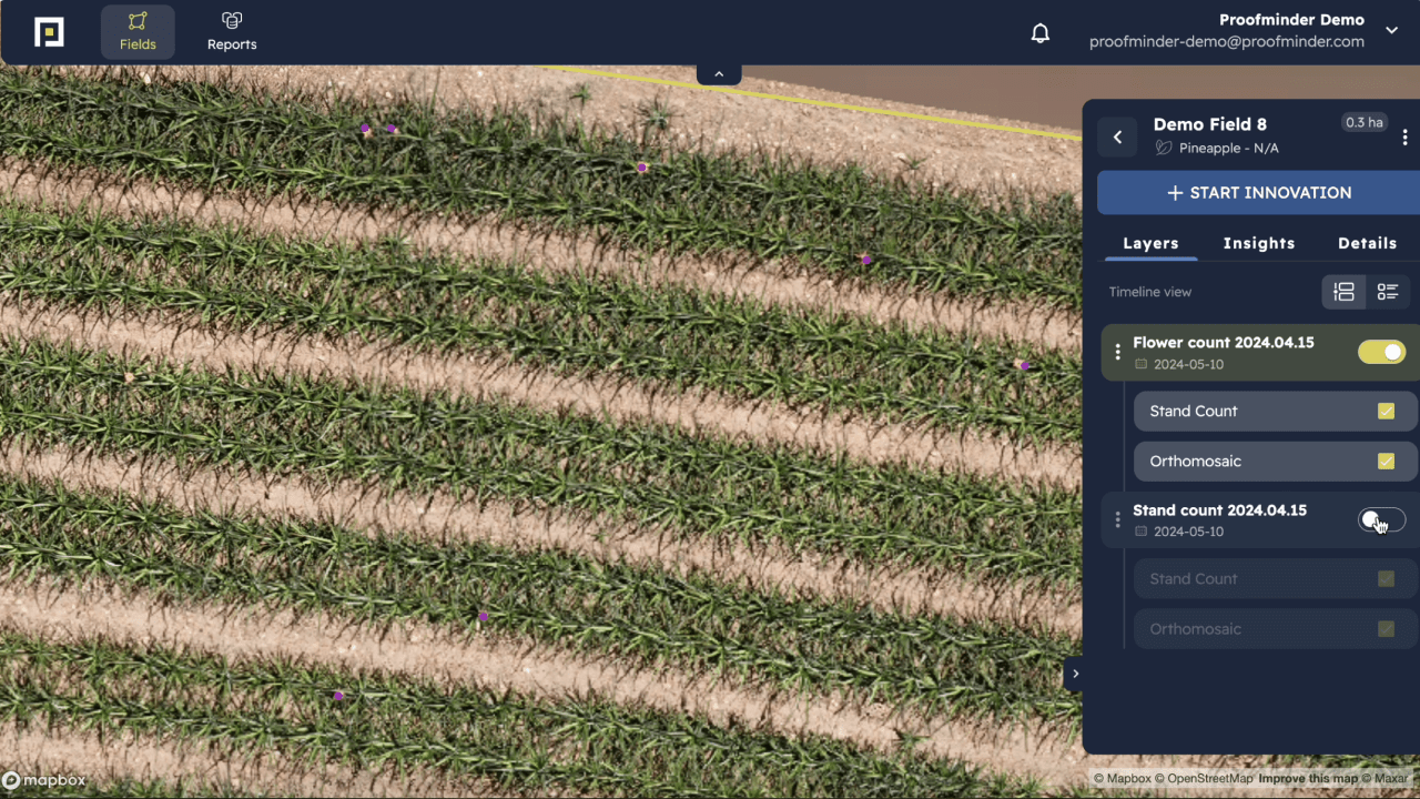Pineapple crop monitored with aerial imagery