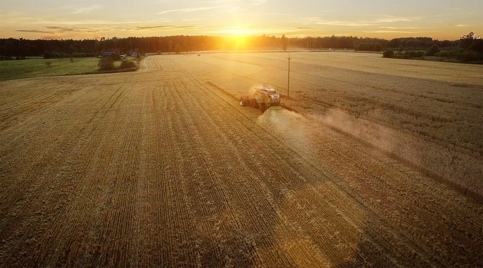 Agricultural field operations supported by drone imagery