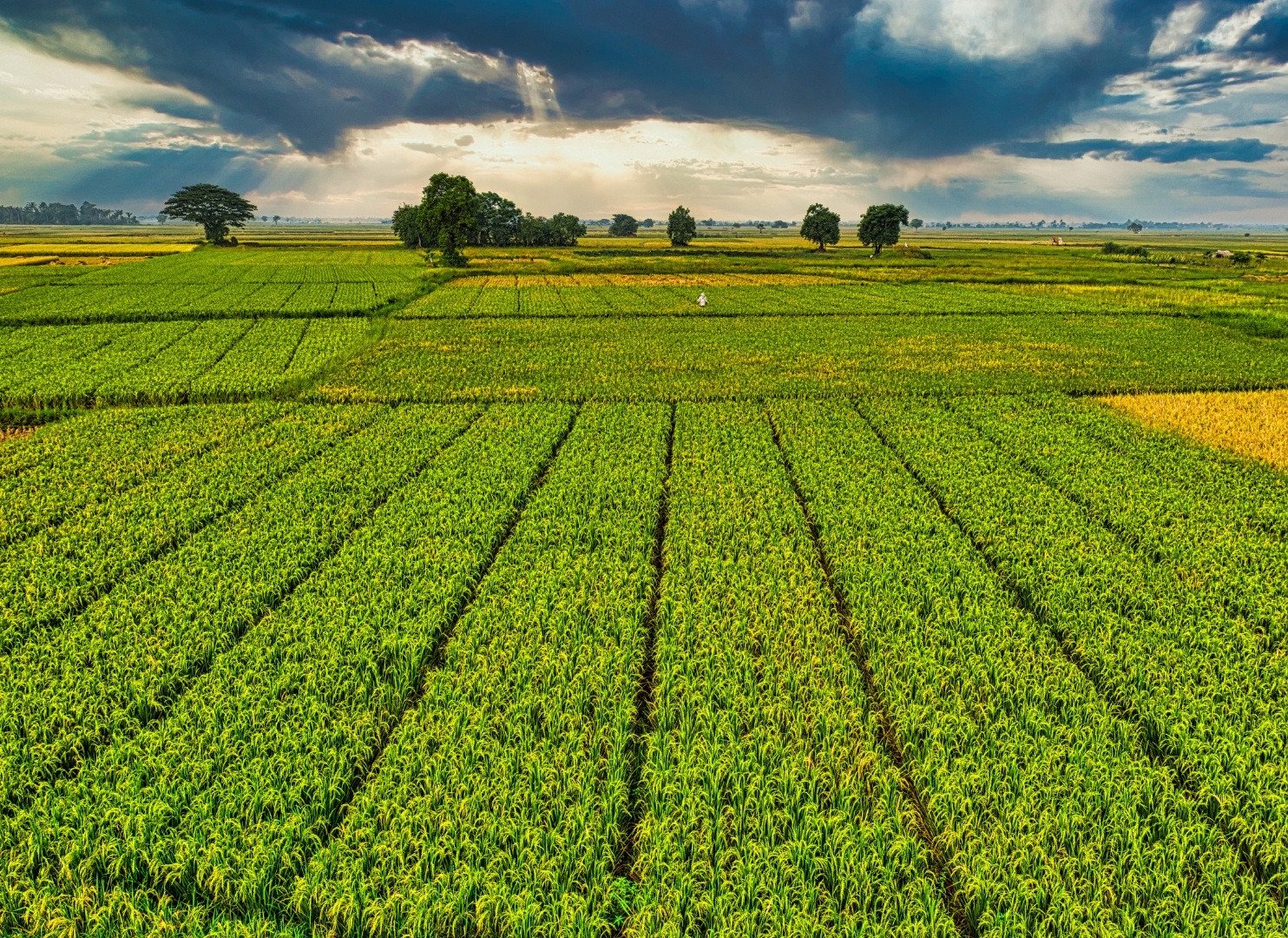 Agricultural projects delivered across regions