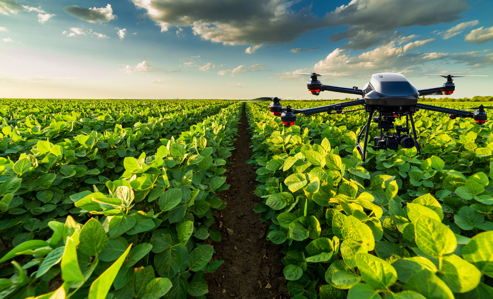 Drone capturing high-resolution imagery above a crop field